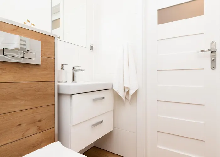 公寓 Bright Nevada With Balcony In By Renters *